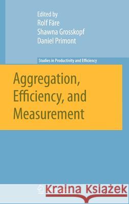 Aggregation, Efficiency, and Measurement Rolf Fare Shawna Grosskopf Daniel Primont 9780387369488 Springer - książka