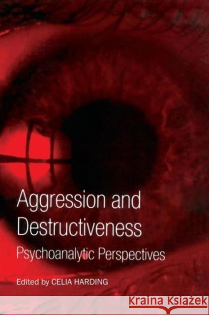 Aggression and Destructiveness: Psychoanalytic Perspectives Harding, Celia 9781583918852 Routledge - książka