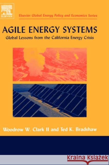 Agile Energy Systems: Global Lessons from the California Energy Crisis Clark, Woodrow 9780080444482 Elsevier Science - książka
