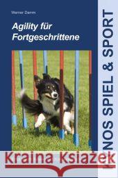 Agility für Fortgeschrittene : Erfolgreich führen mit Körpersprache Damm, Werner 9783942335898 Kynos - książka