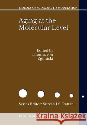 Aging at the Molecular Level T. Vo 9789048164820 Not Avail - książka