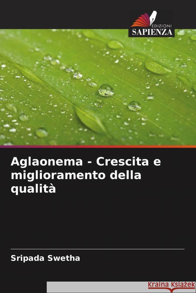 Aglaonema - Crescita e miglioramento della qualità Swetha, Sripada 9786208603236 Edizioni Sapienza - książka