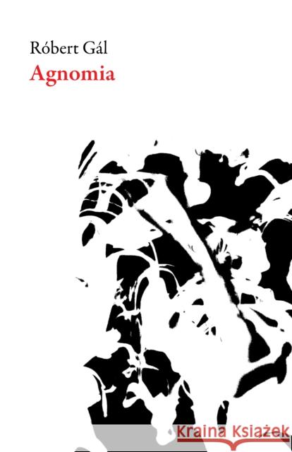 Agnomia  9781628972795 Dalkey Archive Press - książka