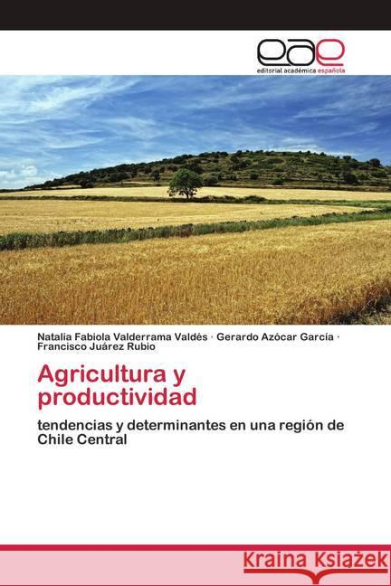 Agricultura y productividad Valderrama Valdés, Natalia Fabiola; Azócar García, Gerardo; Juárez Rubio, Francisco 9786200381873 Editorial Académica Española - książka