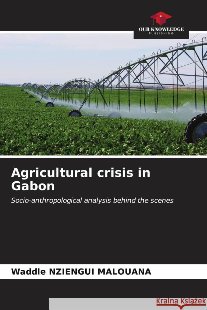 Agricultural crisis in Gabon Waddle Nziengu 9786206546986 Our Knowledge Publishing - książka