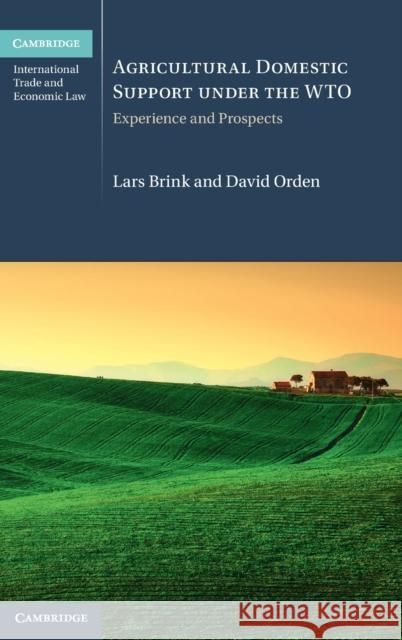 Agricultural Domestic Support Under the Wto: Experience and Prospects Brink, Lars 9781316514054 Cambridge University Press - książka