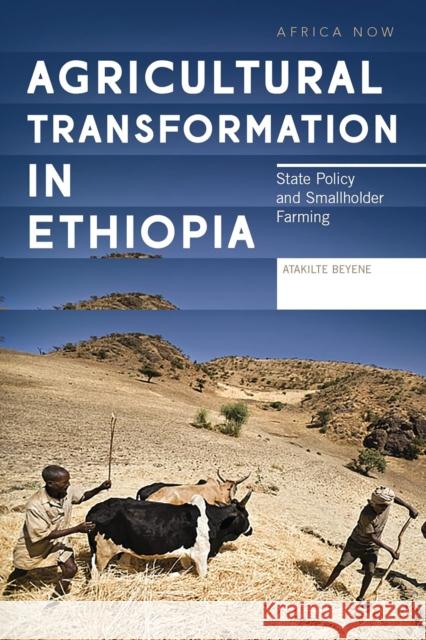 Agricultural Transformation in Ethiopia: State Policy and Smallholder Farming Atakilte Beyene 9781786992185 Zed Books - książka
