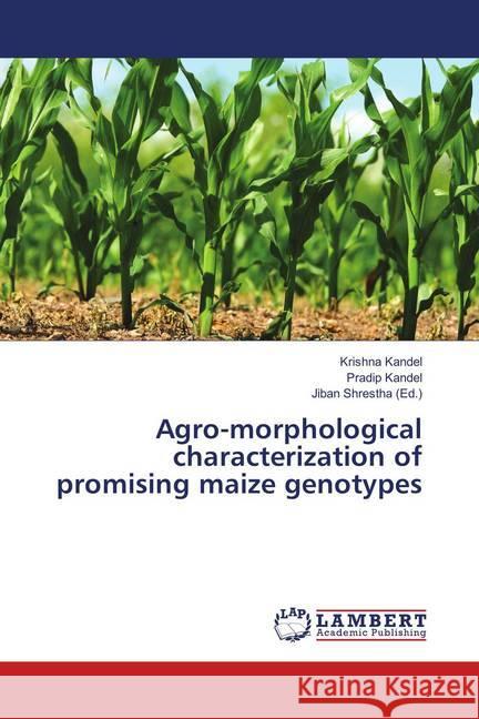 Agro-morphological characterization of promising maize genotypes Kandel, Krishna; Kandel, Pradip 9783659896033 LAP Lambert Academic Publishing - książka