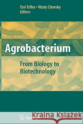 Agrobacterium: From Biology to Biotechnology Tzvi Tzfira Vitaly Citovsky 9780387722894 Springer - książka