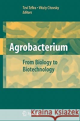 Agrobacterium: From Biology to Biotechnology Tzvi Tzfira Vitaly Citovsky 9781441924735 Springer - książka