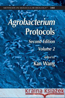 Agrobacterium Protocols: Volume II Wang, Kan 9781617378034 Springer - książka