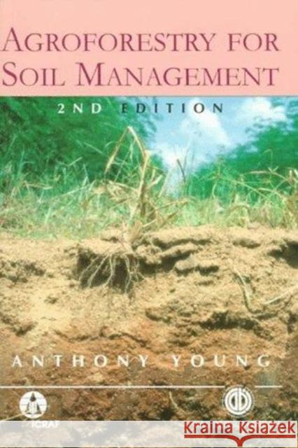 Agroforestry for Soil Management Anthony Young 9780851991894 CABI Publishing - książka