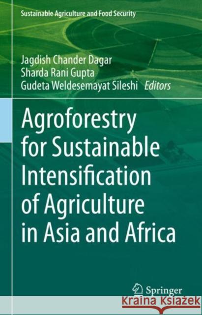 Agroforestry for Sustainable Intensification of Agriculture in Asia and Africa Jagdish Chander Dagar Sharda Rani Gupta Gudeta Weldesemayat Sileshi 9789811946011 Springer - książka