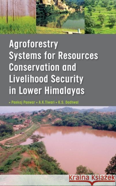 Agroforestry Systems for Resource Conservation and Livelihood Security in Lower Himalays Pankaj Panwar 9789381450215 Nipa - książka