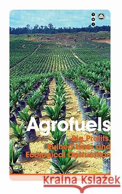 Agrofuels: Big Profits, Ruined Lives and Ecological Destruction Francois Houtart Immanuel Maurice Wallerstein 9780745330136 Pluto Press (UK) - książka