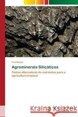 Agrominerais Silicáticos Souza, Fred 9783330997912 Novas Edicioes Academicas - książka