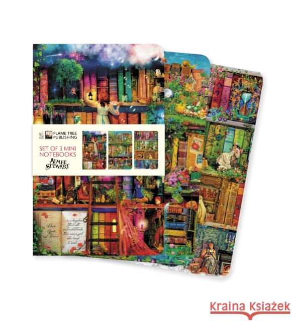 Aimee Stewart Set of 3 Mini Notebooks  9781839648519 Flame Tree Publishing - książka