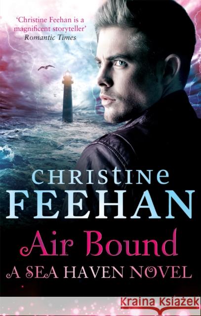 Air Bound Christine Feehan 9780349401867 Little, Brown Book Group - książka