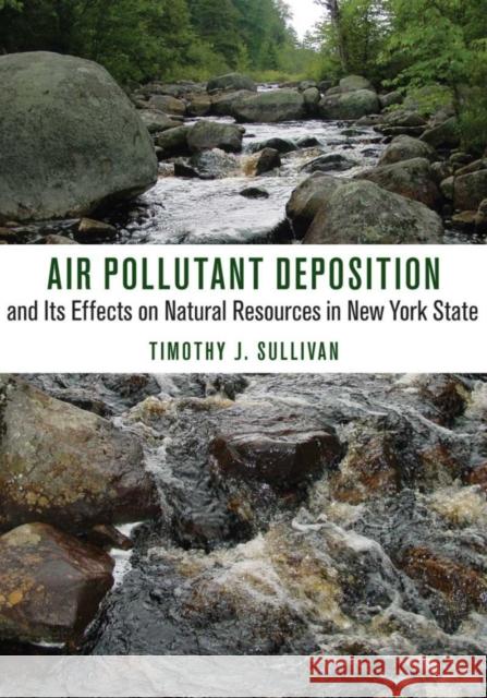 Air Pollutant Deposition and Its Effects on Natural Resources in New York State Timothy J. Sullivan 9780801456879 Comstock Publishing - książka