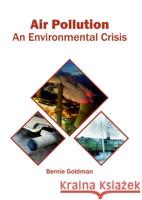 Air Pollution: An Environmental Crisis Bernie Goldman 9781682865347 Syrawood Publishing House - książka