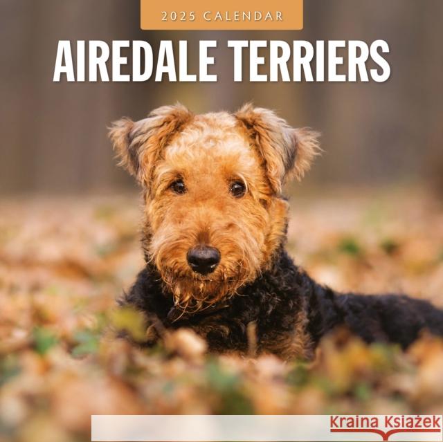 Airedale Terriers 2025 Square Wall Calendar Red Robin 9781804424162 Red Robin Publishing Ltd. - książka