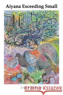 Aiyana Exceeding Small Joyce E. McLain 9781496160133 Createspace - książka