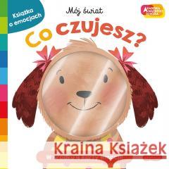 Akademia mądrego dziecka. Co czujesz? Roger Priddy, Julia Seal, Katarzyna Grzyb 9788327673091 Harperkids - książka