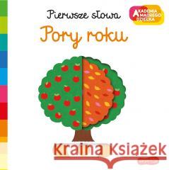 Akademia mądrego dziecka. Pory roku Nathalie Choux, Katarzyna Grzyb 9788327660053 Harperkids - książka