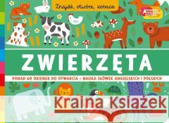 Akademia mądrego dziecka Zwierzęta Znajdź.. Andy Passchier 9788327688101 Harperkids - książka