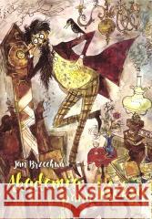 Akademia Pana Kleksa Jan Brzechwa 9788372724182 G&P Oficyna Wydawnicza - książka