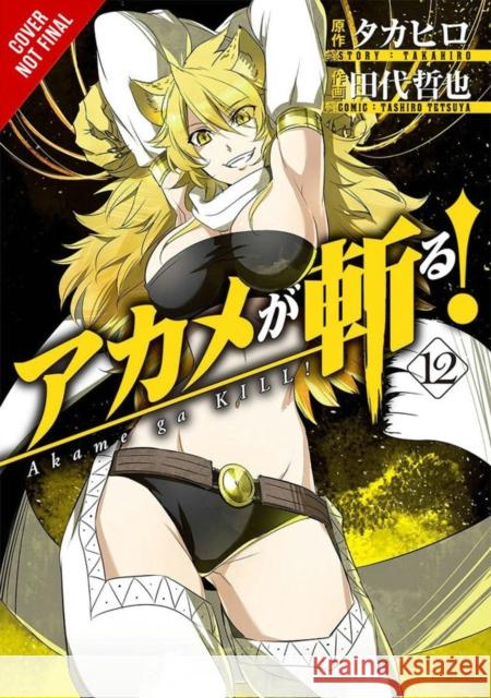 Akame Ga Kill!, Vol. 12 Takahiro                                 Tetsuya Tashiro 9780316473323 Yen Press - książka