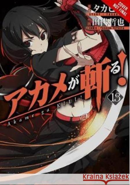 Akame ga Kill!, Vol. 13 Takahiro 9780316473354 Yen Press - książka