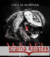 Aknael: Nebeská jízda Václav Kořínek 9788027742691 Via - książka