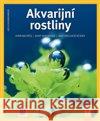 Akvarijní rostliny Ines Scheurmannová 9788075411259 Vašut