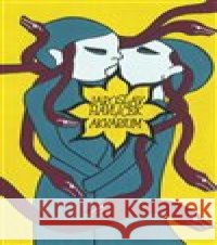 Akvárium Jaroslav Havlíček 9788076900561 Dybbuk - książka