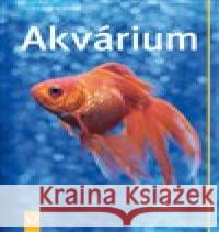 Akvárium Ulrich Schliewen 9788075411501 Vašut - książka