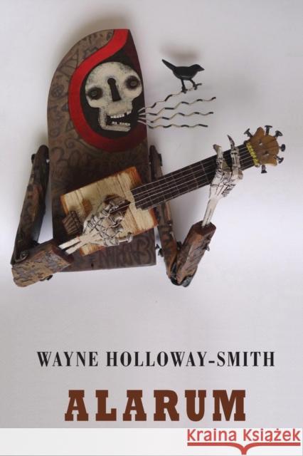 Alarum Holloway-Smith, Wayne 9781780373300  - książka