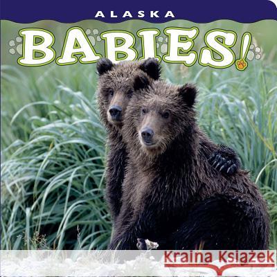Alaska Babies! Steven Kazlowski 9781560375456 Farcountry Press - książka