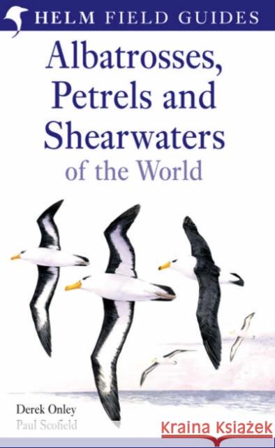 Albatrosses, Petrels and Shearwaters of the World Derek Onley Paul Scofield 9780713643329 A & C BLACK PUBLISHERS LTD - książka