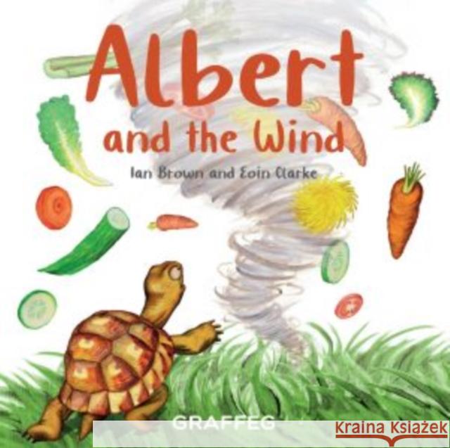 Albert and the Wind Ian Brown 9781913733445 Graffeg Limited - książka