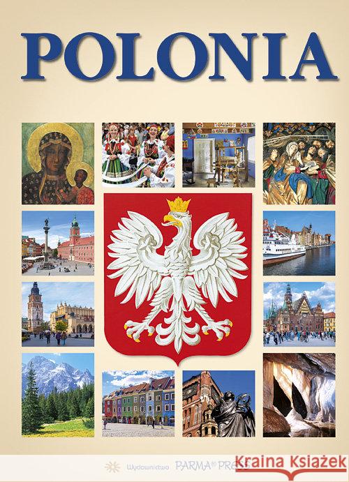 Album Polska B5 w.hiszpańska Grunwald-Kopeć Renata 9788377771778 Parma Press - książka