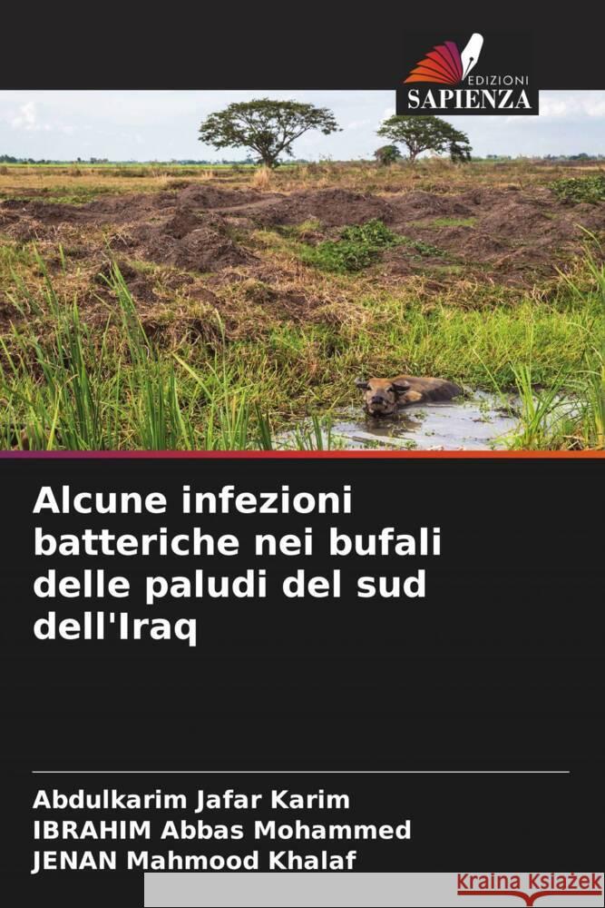 Alcune infezioni batteriche nei bufali delle paludi del sud dell'Iraq Abdulkarim Jafar Karim Ibrahim Abbas Mohammed Jenan Mahmood Khalaf 9786206126669 Edizioni Sapienza - książka