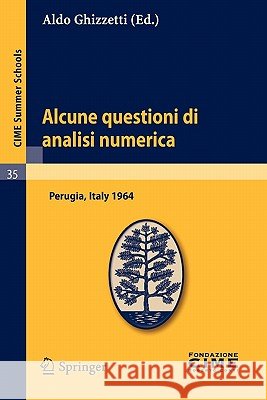 Alcune Questioni Di Analisi Numerica: Lectures Given at a Summer School of the Centro Internazionale Matematico Estivo (C.I.M.E.) Held in Perugia, Ita Ghizzetti, Aldo 9783642110269 Springer - książka