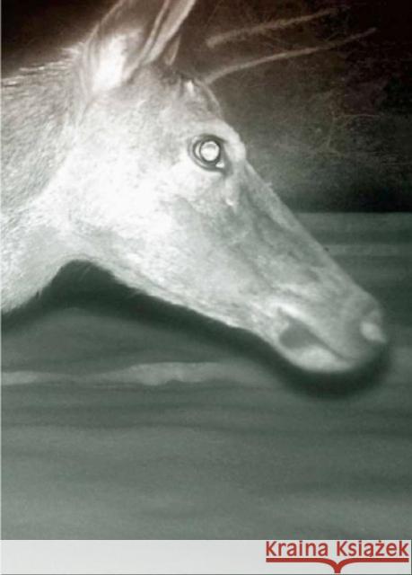 Alex Hanimann: Trapped  9783906803333 Edition Patrick Frey - książka