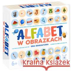 Alfabet w obrazkach  5905723442821 Kangur - książka