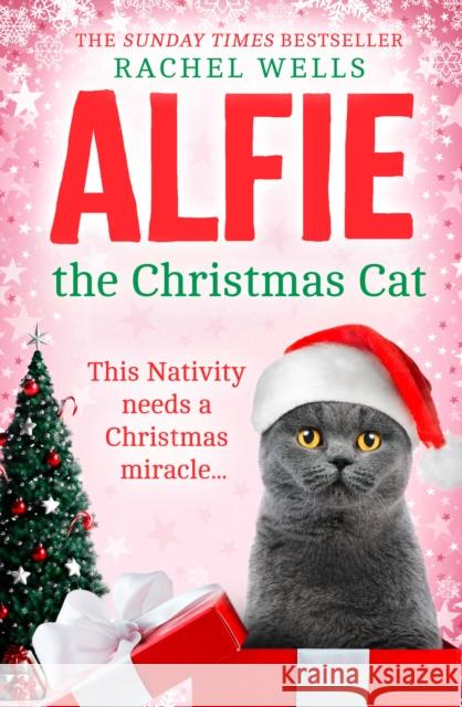 Alfie the Christmas Cat Rachel Wells 9780008483722 HarperCollins Publishers - książka