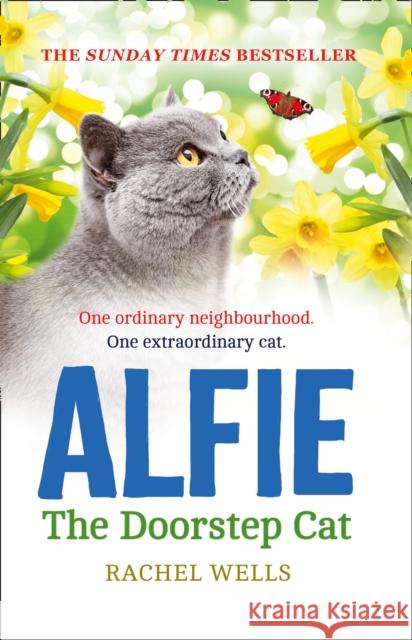 Alfie the Doorstep Cat Rachel Wells 9780008133153 HarperCollins Publishers - książka