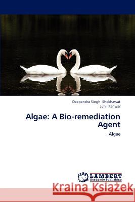 Algae: A Bio-Remediation Agent Shekhawat Deependra Singh, Panwar Juhi 9783659262517 LAP Lambert Academic Publishing - książka