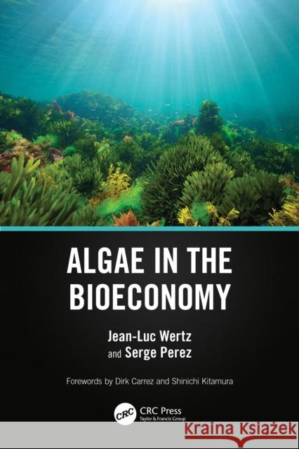 Algae in the Bioeconomy Jean-Luc Wertz Serge Perez 9781032604732 CRC Press - książka