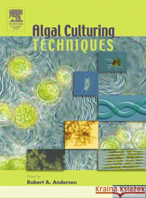 Algal Culturing Techniques Robert A. Andersen 9780120884261 Elsevier Academic Press - książka